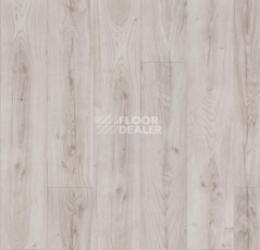 Forbo Allura Click Pro 60301CL5 whitened oak фото 2 | FLOORDEALER